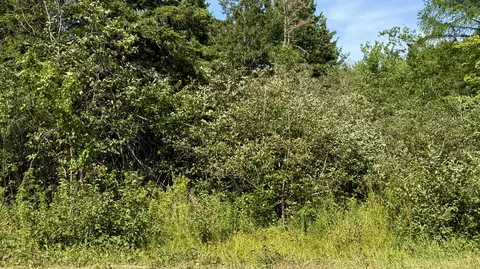 85 Palmer Landing Rd, East Machias, ME 04630