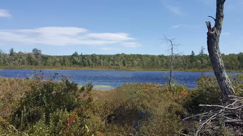 96 Parker Pond Road, Jay, ME 04239