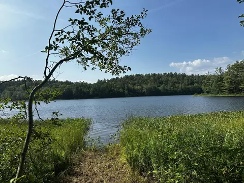 lot005 State Route 46 Rte, Bucksport, ME 04416
