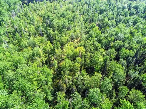 tbd Bartlett Rd, Belgrade, ME 04917 photo 22