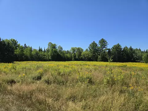 Off Osgood Road, Springfield, ME 04487 photo 11