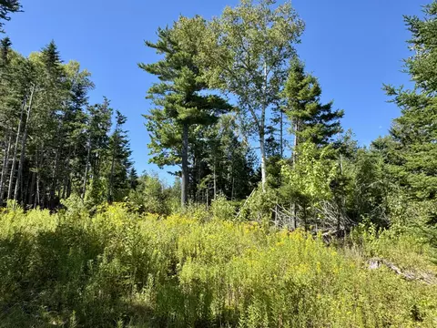 lot13 Red Rock Ests, Pembroke, ME 04666