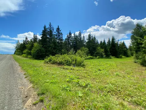 M9l5a Tupper Road, Perham, ME 04766