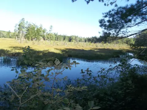 lot12 Hayward Point Rd, Day Block Twp, ME 04654