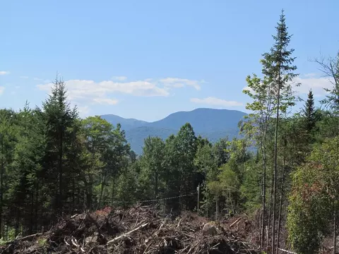 929 Center Hill Road Rd, Weld, ME 04285