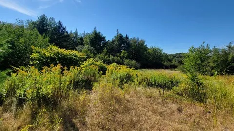 lot23 Bay Rd, Jonesboro, ME 04648