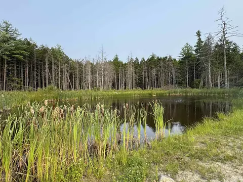 10 Pine Hill Rd, Wesley, ME 04686 photo 31