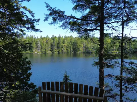 41 Sportsmens Lodge Rd, Marshfield, ME 04654
