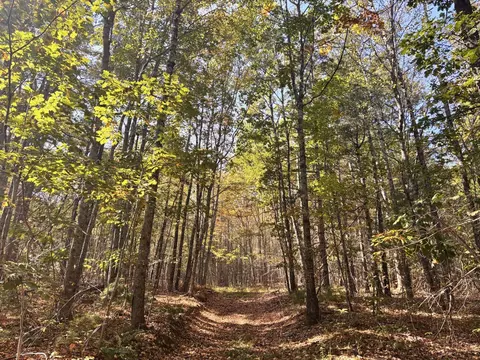 150 Bowden Point Rd, Prospect, ME 04981