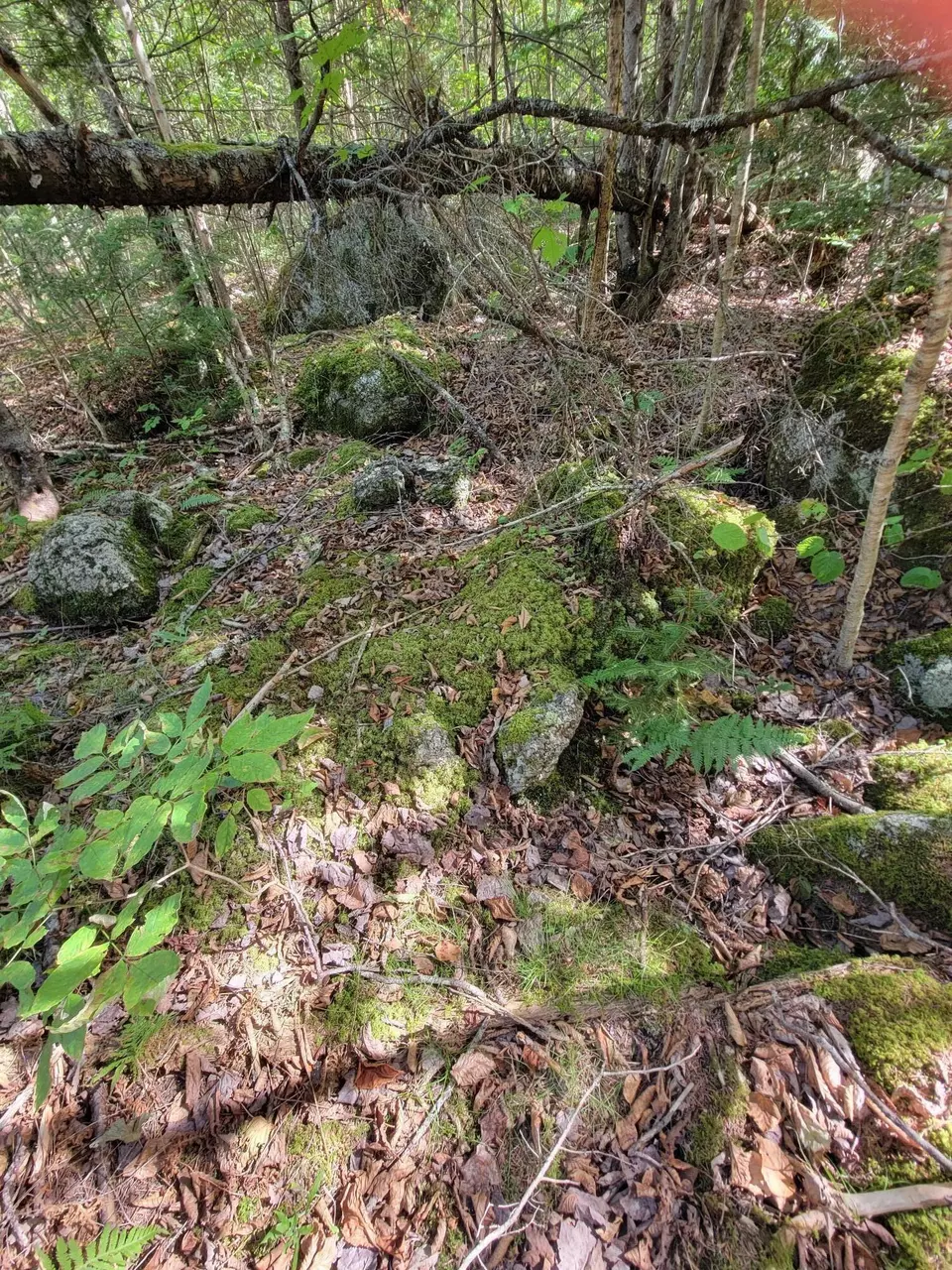  B-2backlot Pioneer Path, Aurora, ME 04605 photo 9