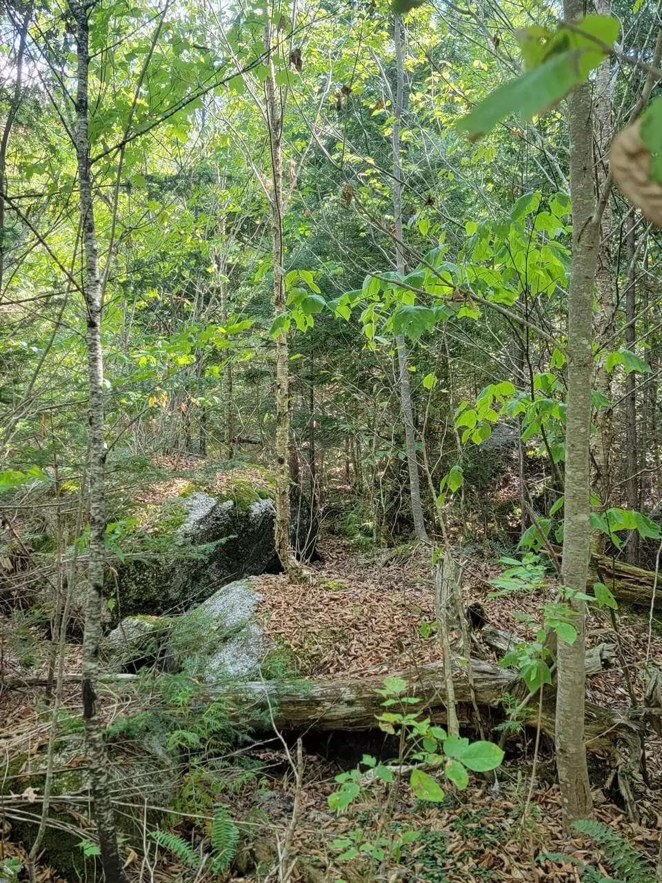  B-2backlot Pioneer Path, Aurora, ME 04605 photo 13