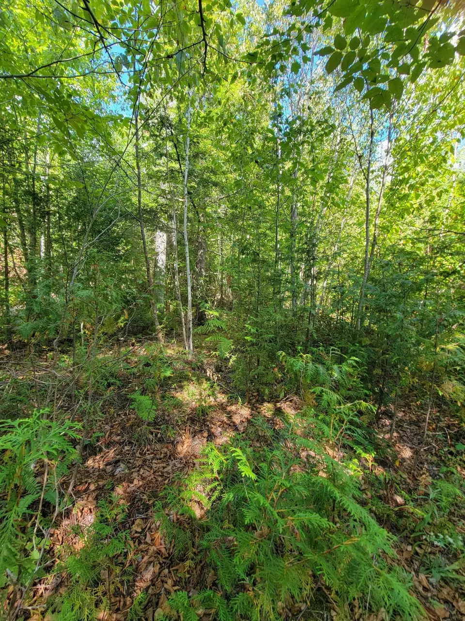  B-2backlot Pioneer Path, Aurora, ME 04605 photo 12
