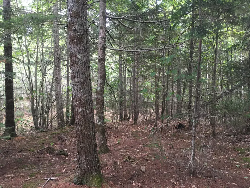  B-2backlot Pioneer Path, Aurora, ME 04605 photo 3