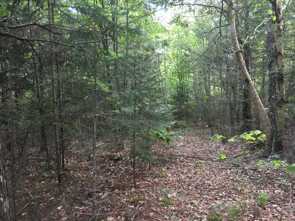  B-2backlot Pioneer Path, Aurora, ME 04605 photo 2