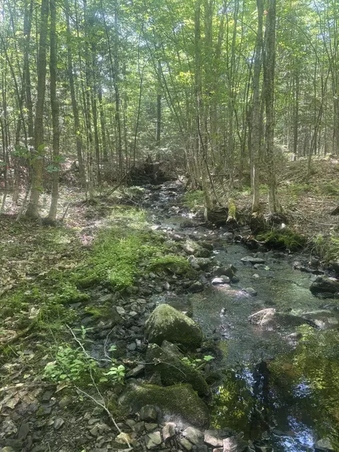 M5-l31, Harmony, ME 04942