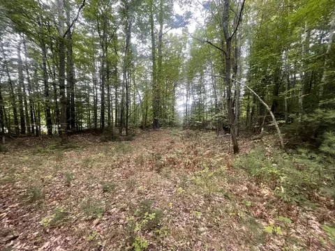 R6l38b New Vineyard Road, New Vineyard, ME 04956