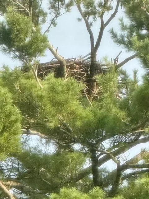 Other - 272 Thoroughfare Rd, Sinclair, ME 04779 photo 10 of 12