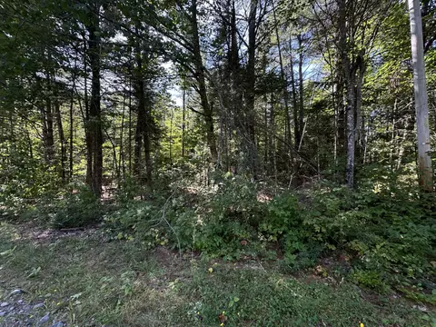 0 Dunham Rd, Milo, ME 04463 photo 7