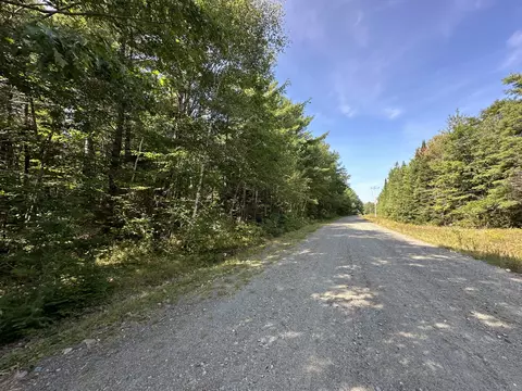 0 Dunham Rd, Milo, ME 04463 photo 4