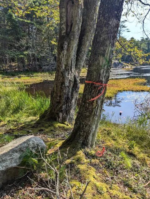 0 Route #144, Westport Island, ME 04578
