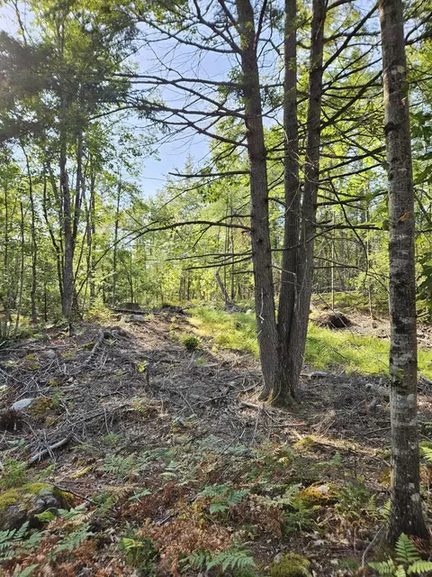 lot A Serenity Ln, Oxford, ME 04270