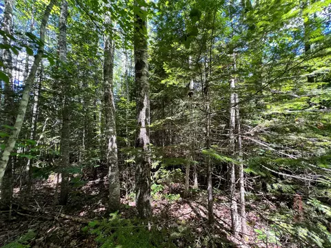 lot4 Woodland Ridge Rd, Danforth, ME 04424 photo 12