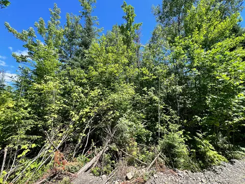 lot4 Woodland Ridge Rd, Danforth, ME 04424 photo 16