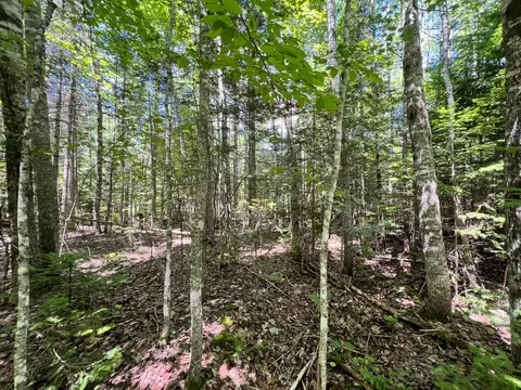 lot4 Woodland Ridge Rd, Danforth, ME 04424 photo 11