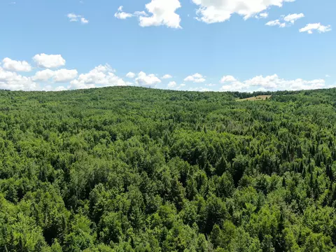 lot4 Woodland Ridge Rd, Danforth, ME 04424 photo 8
