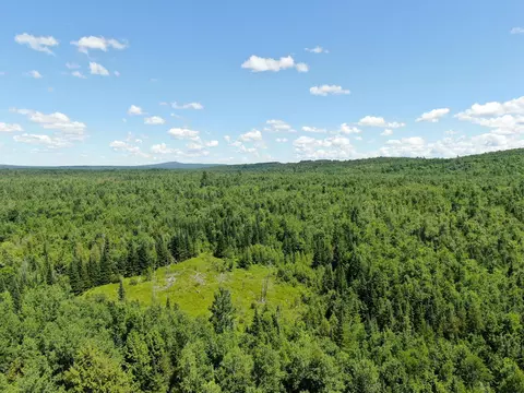 lot4 Woodland Ridge Rd, Danforth, ME 04424 photo 7