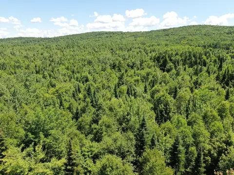 lot4 Woodland Ridge Rd, Danforth, ME 04424 photo 4