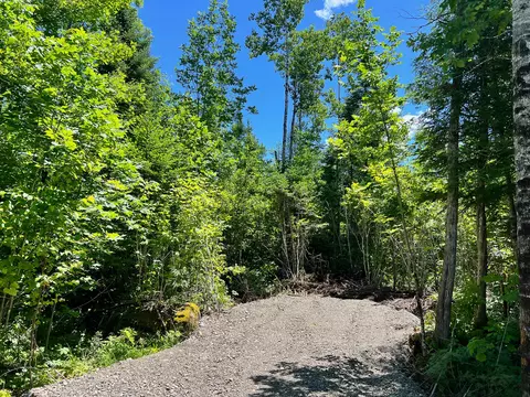 lot4 Woodland Ridge Rd, Danforth, ME 04424 photo 15