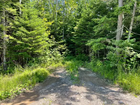 lot4 Woodland Ridge Rd, Danforth, ME 04424 photo 13