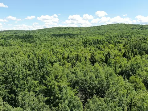 lot4 Woodland Ridge Rd, Danforth, ME 04424 photo 9