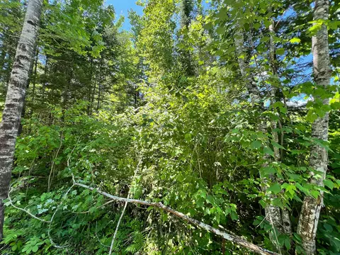 lot4 Woodland Ridge Rd, Danforth, ME 04424 photo 17