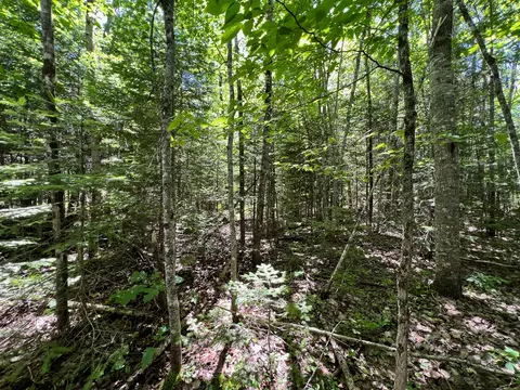 lot4 Woodland Ridge Rd, Danforth, ME 04424 photo 10