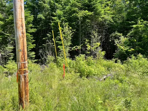 lot4 Woodland Ridge Rd, Danforth, ME 04424 photo 14