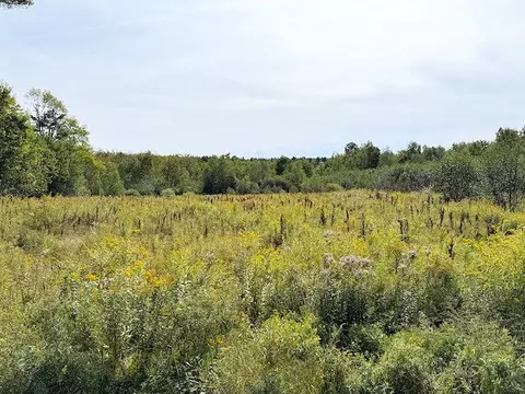 0 Trues Pond Rd, Montville, ME 04941