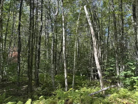 35 Jones Hill Rd # -3, Appleton, ME 04862 photo 5