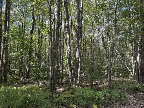 35 Jones Hill Rd # -3, Appleton, ME 04862 photo 2