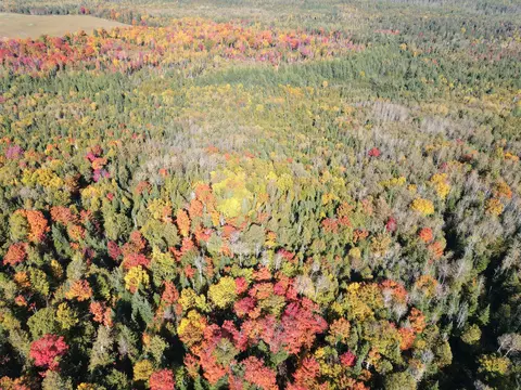 lot97 A New Sweden Rd, New Sweden, ME 04762