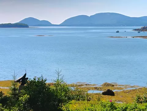 103 Gull Rock Rd, Hancock, ME 04640