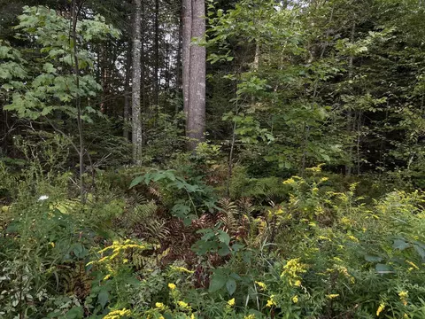 M4l14 Village Road, Jackson, ME 04921