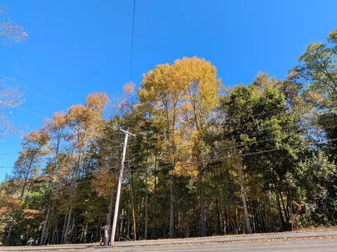 225 Waldo Ave, Belfast, ME 04915