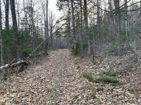 M29, Madrid Twp, ME 04966