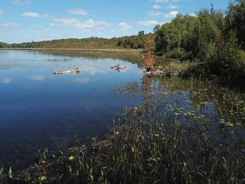 tbd Dexter Rd, Saint Albans, ME 04971