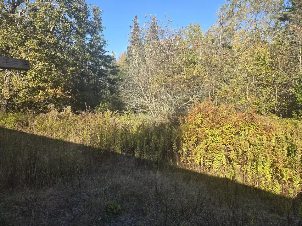 Exterior - 92 Wilcox Rd, Trescott Twp, ME 04652 photo 2 of 5