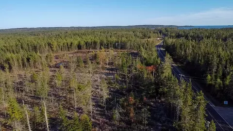 16 Cutler Road # 16 16 2, Cutler, ME 04626