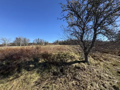 16 18 Nelson Way, Addison, ME 04606 photo 24