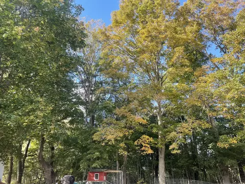 Exterior - 565 River Rd, Anson, ME 04958 photo 9 of 38